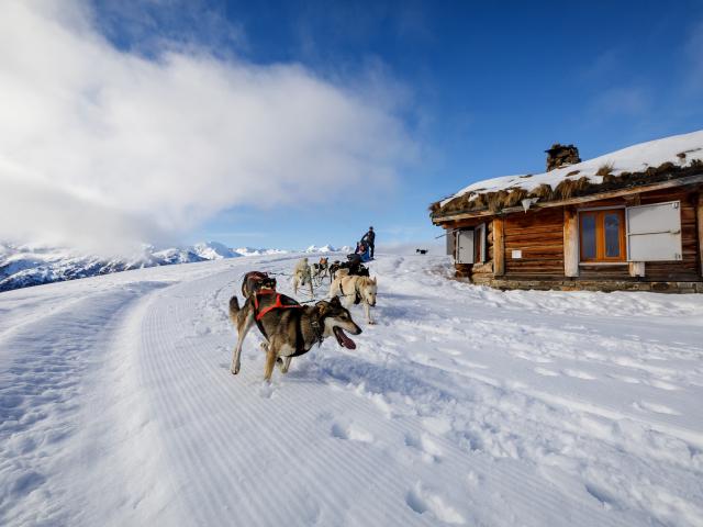 Activités En Hiver