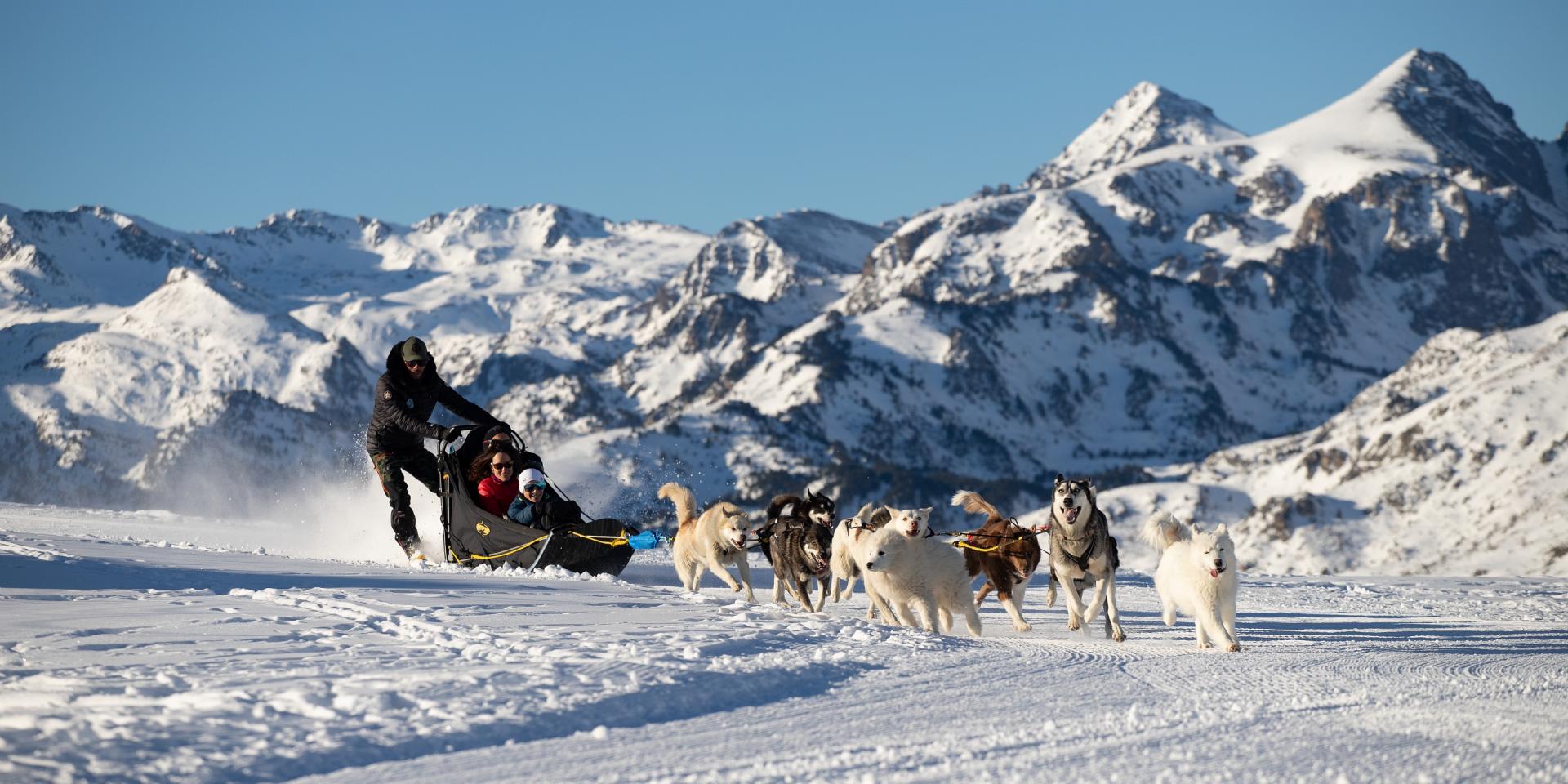 Chiens de traîneau et compagnie | Office de Tourisme des Pyrénées  Ariégeoises