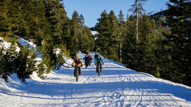 2019.fatbikeax.stephane Meurisse Adt09 0003928 Md