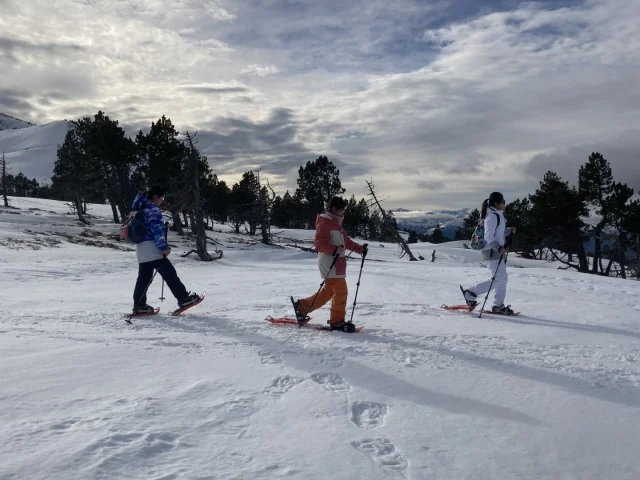 2024 Pyrenees Excursions Raquettes A Neige Cp L. Loze